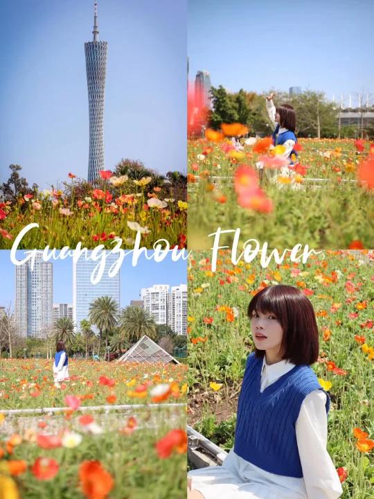 广州莫奈花园vlog|春天可爱朋友圈文案分享