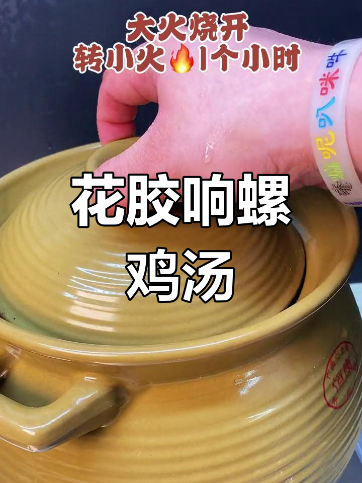 海南风味花胶响螺鸡汤,咸鲜美味滋补