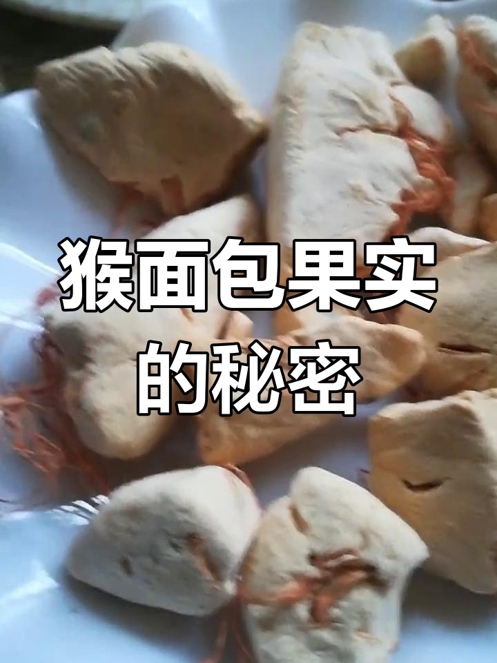 云南猴面包树果实揭秘:能吃又能种,黑色籽也能用