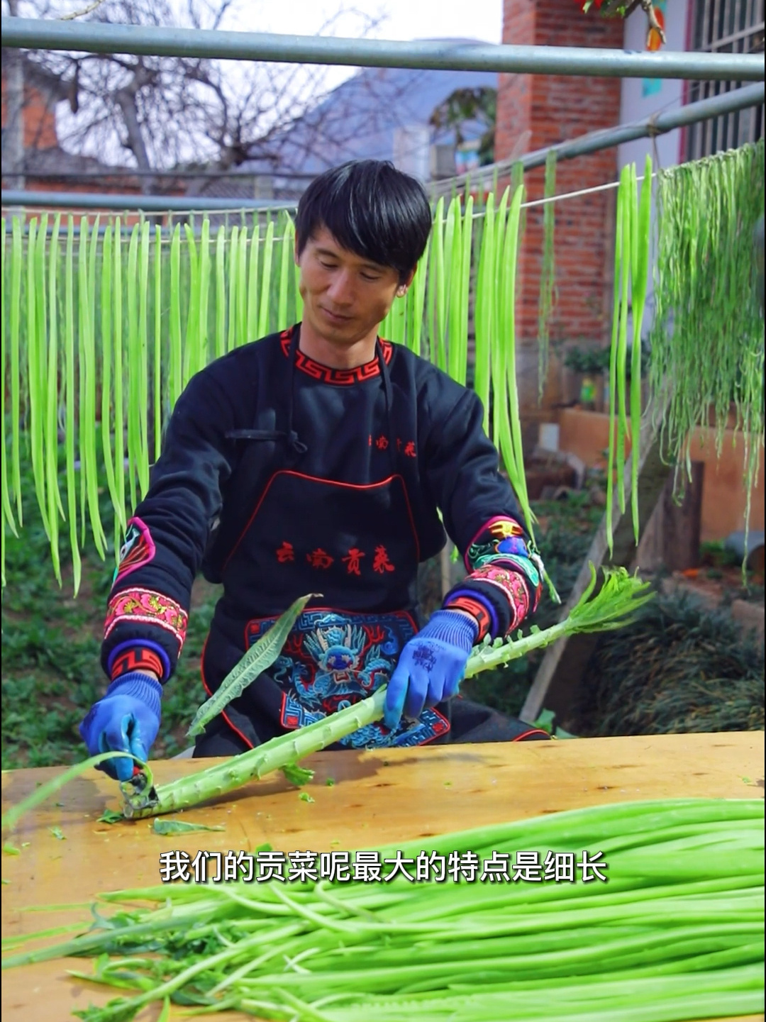 贡菜叫苔干也叫响菜,你们当地叫什么菜?