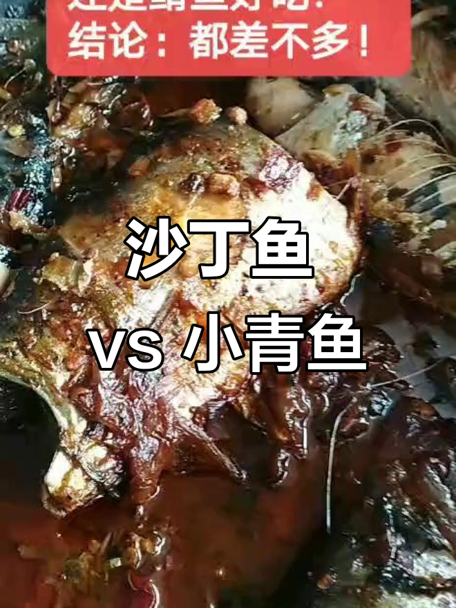 沙丁鱼与鲭鱼的口感大比拼,哪种更胜一筹?