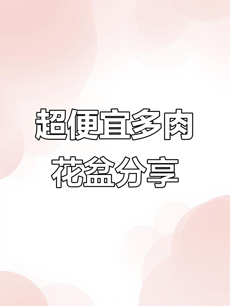 5元以内超值多肉花盆，搭配推荐大公开