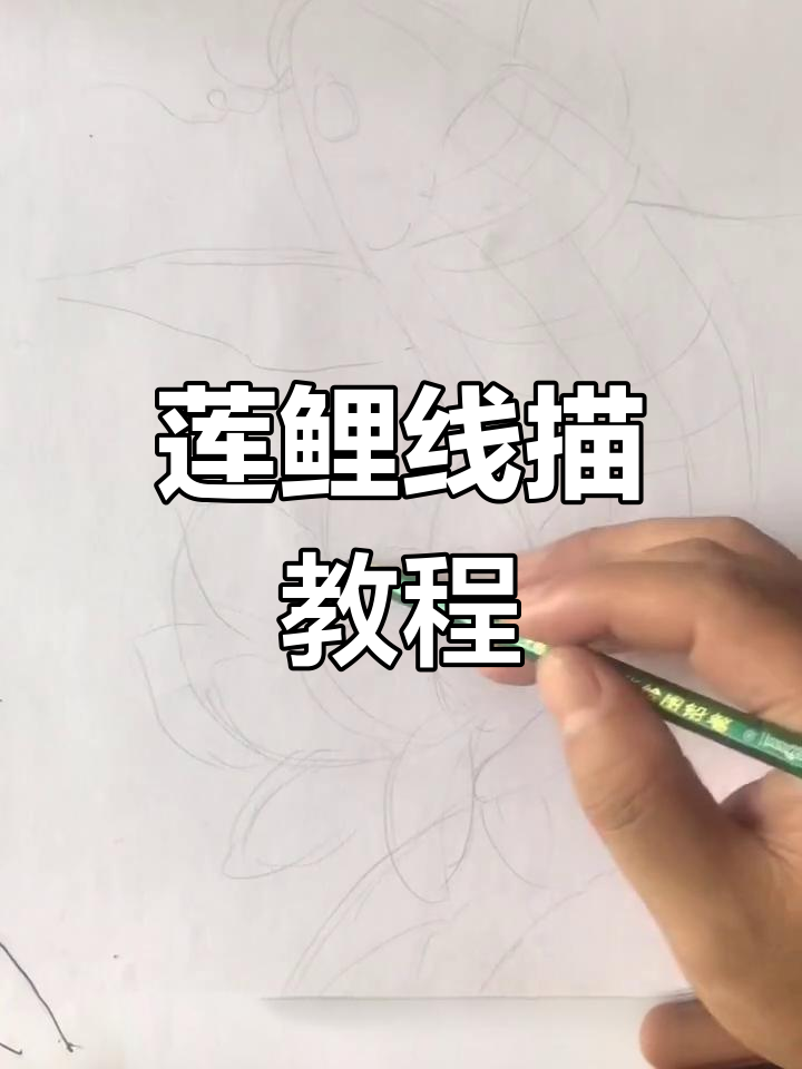 教你轻松画出莲花鲤鱼,线条流畅无痕!