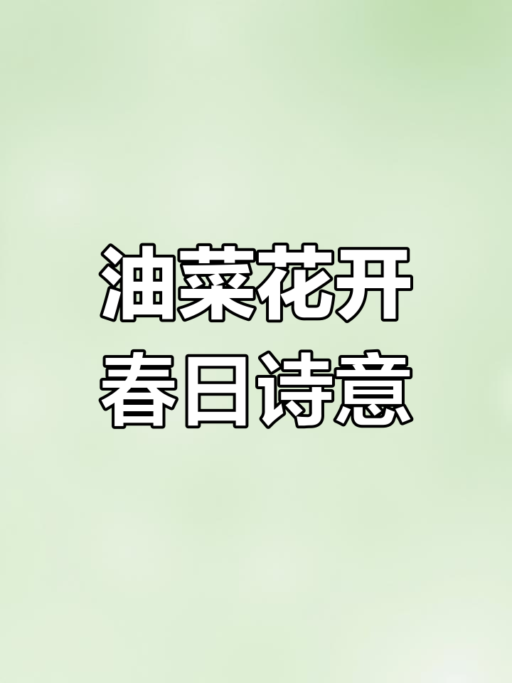 春天的油菜花与古诗词,感受生活的色彩与韵律