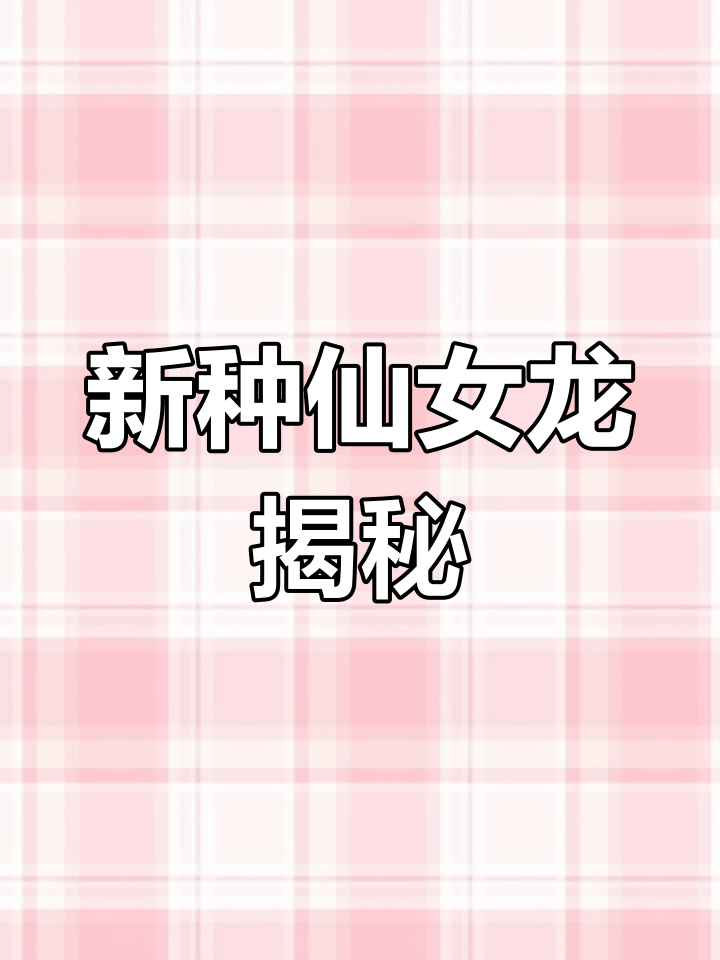 深海新发现:仙女龙腹鳍超长,尾巴有独特黑色边缘