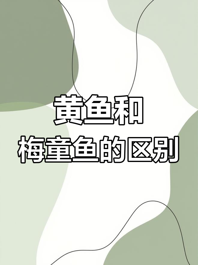黄鱼与梅童鱼的差异解析