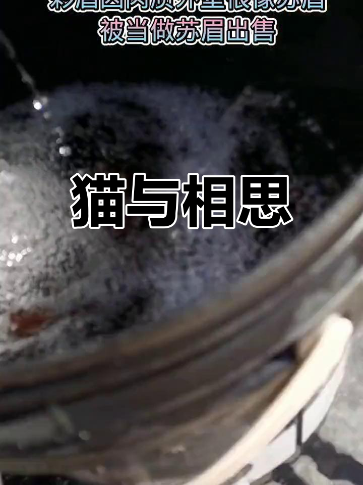 彩眉江湖,假苏眉的悲欢离合