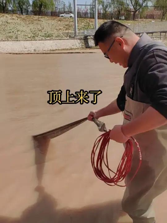 闸口一开闸网网不空,刚子一网打到急流鱼都顶上来了