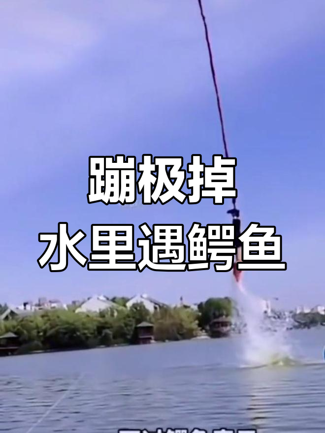男子蹦极跳入水中,竟被鳄鱼“外卖”吓到!