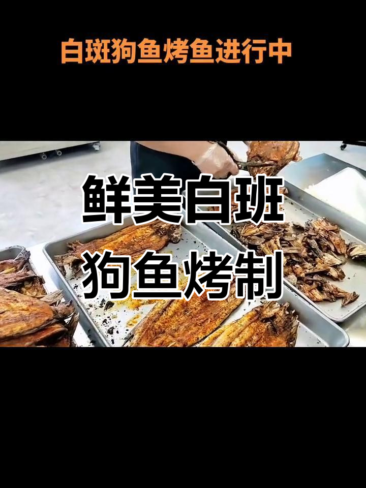 白斑狗鱼新鲜烤制,真空包装更放心