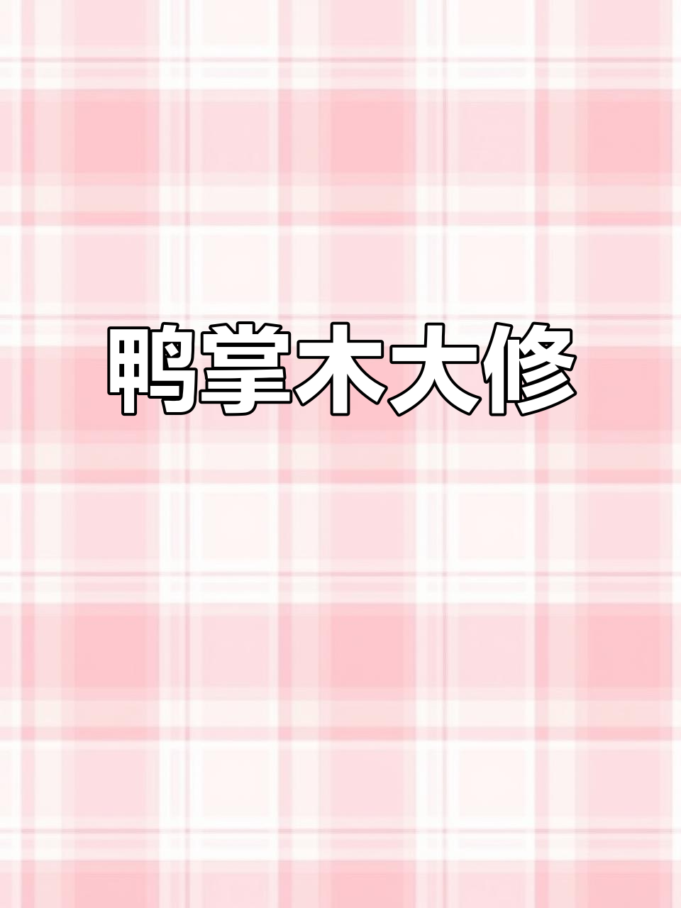 鸭掌木长势惊人,修剪后更茂盛,剪下的枝条还能再利用