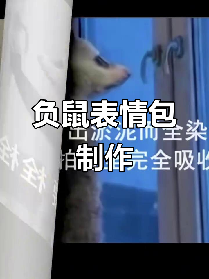 负鼠上班表情包，轻松制作分享！