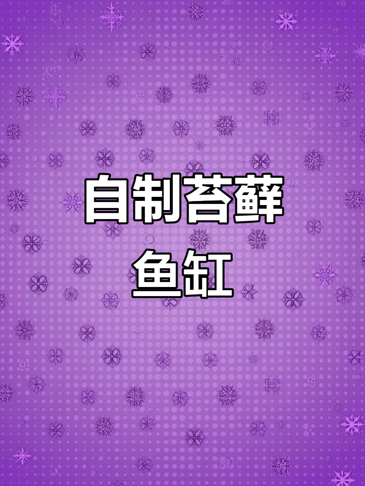 打造苔藓鱼缸微景观，轻松DIY家居装饰