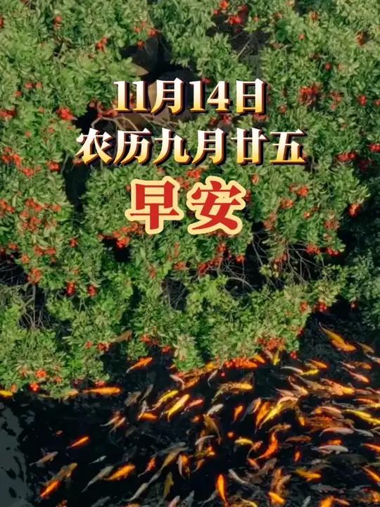 早安！好运锦鲤，大吉大利，愿您如鱼得水，万事顺遂，平安喜乐，所愿皆得