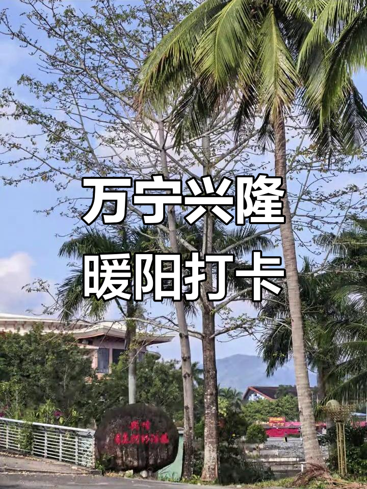 海南万宁兴隆第二周,冬日暖阳下的打卡时光