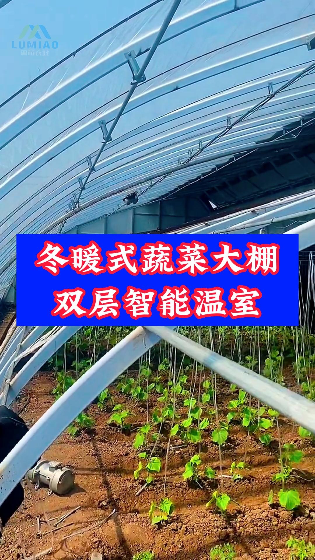 冬暖式蔬菜大棚双层智能温室