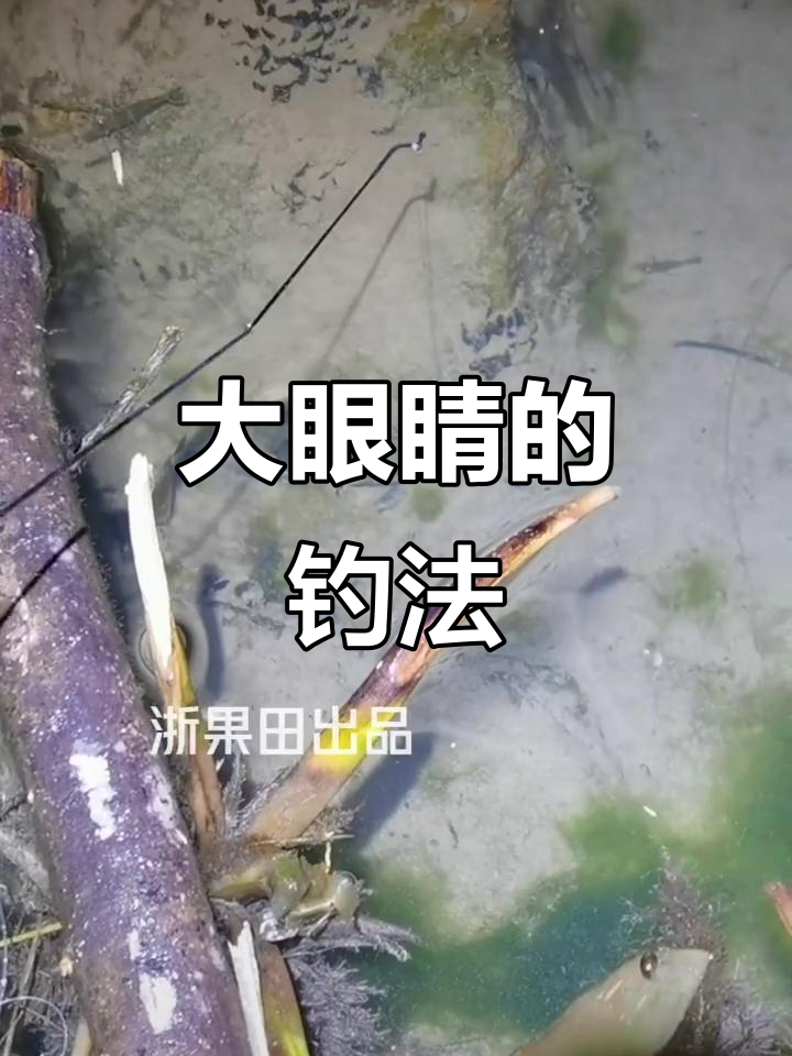 沙塘鳢大眼贼,钓鱼技巧揭秘