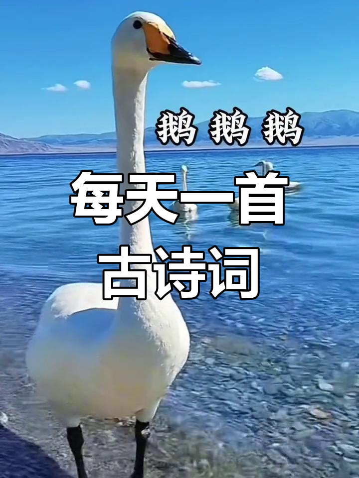 《咏鹅》骆宾王古诗朗诵