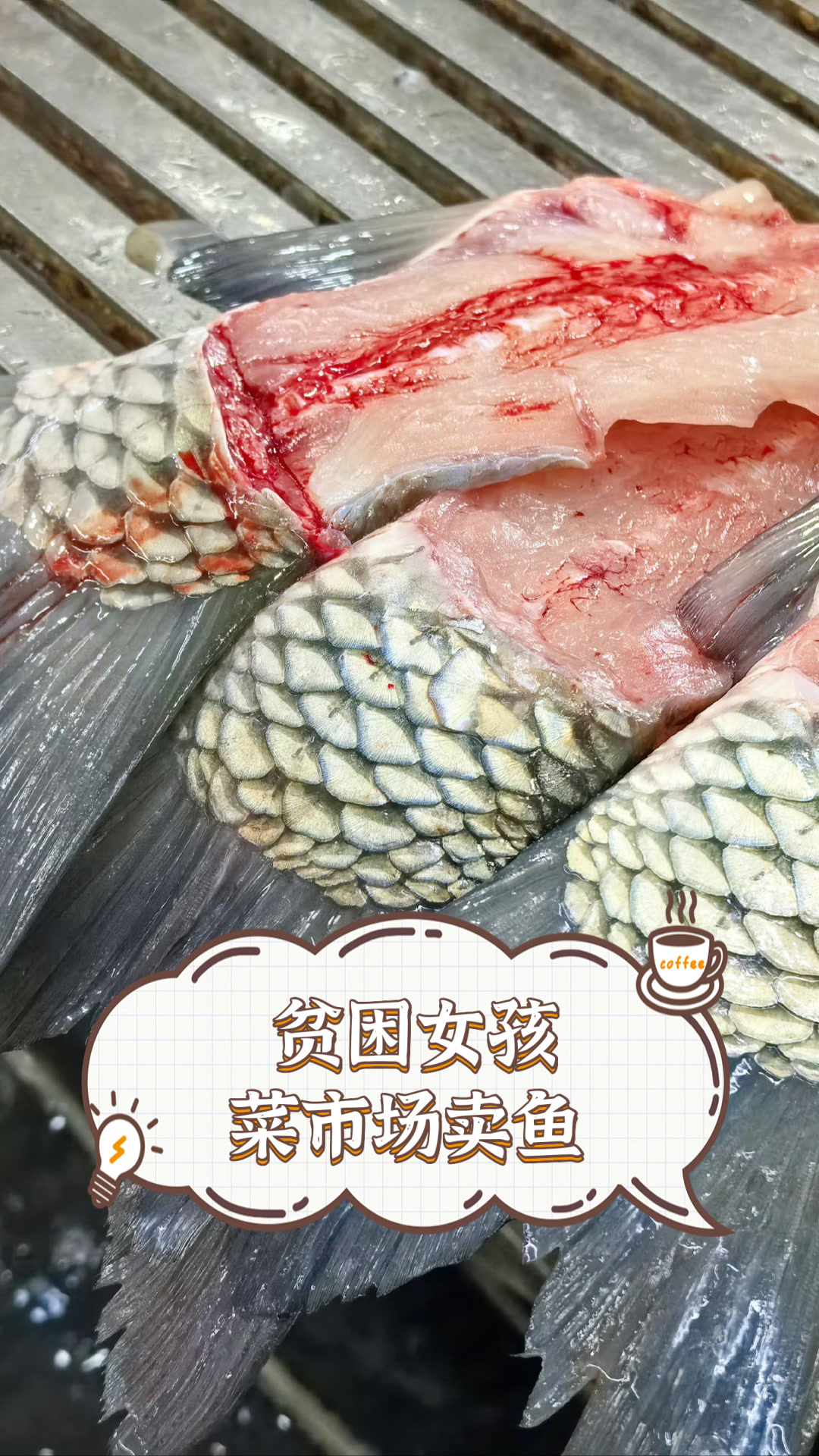 贫困女孩菜市场卖鱼