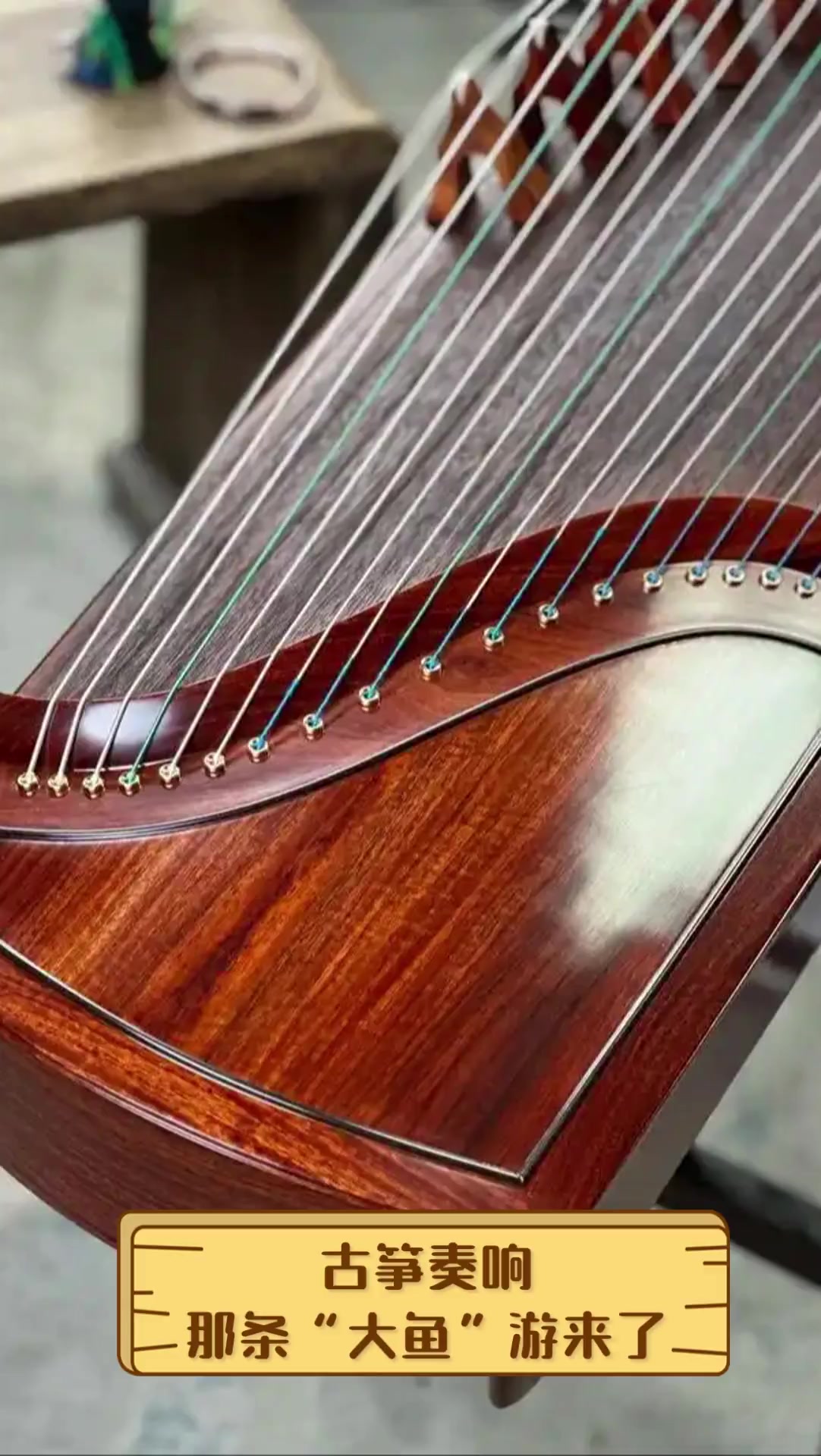 古筝奏响,那条“大鱼”游来了