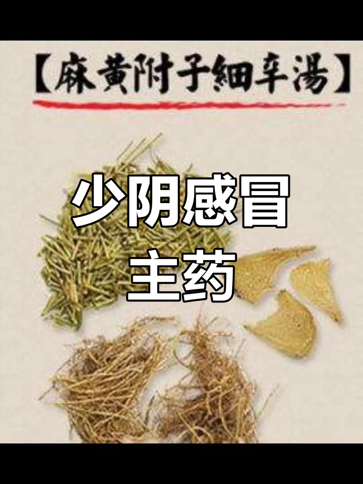 麻黄附子细辛汤:少阴病兼太阳表寒证的主方