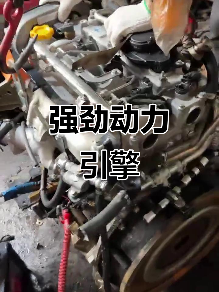 适用于九龙金龙大马2.8T柴油发动机,性能强劲