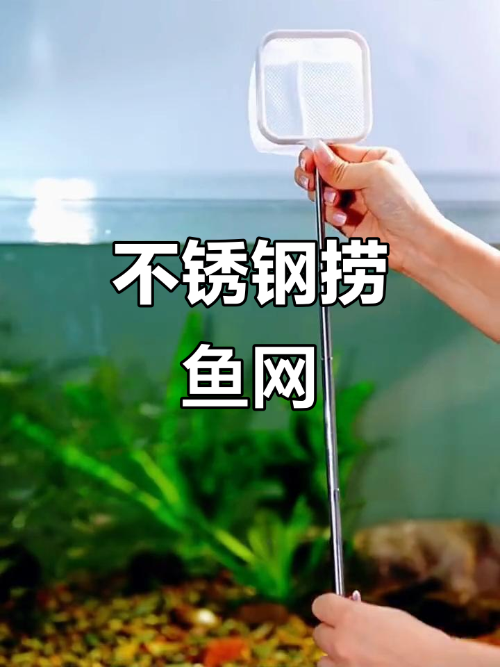 伸缩捞鱼网,不锈钢材质可拆卸,轻松捕捞观赏鱼