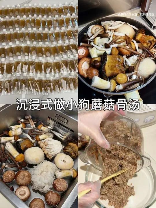 永生狗长寿蘑菇汤熬制～超详细教程！看完快给自家小狗做起来 蘑菇可以抗炎 抗ai抗氧化～每天
