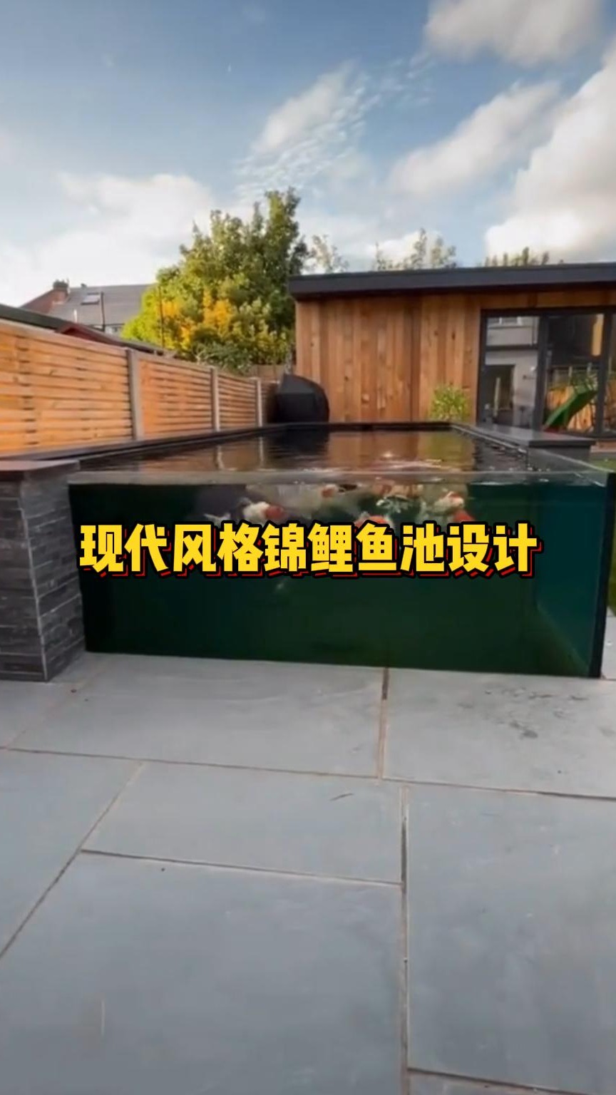 这样的锦鲤鱼池设计,彰显现代风格的时尚与精致
