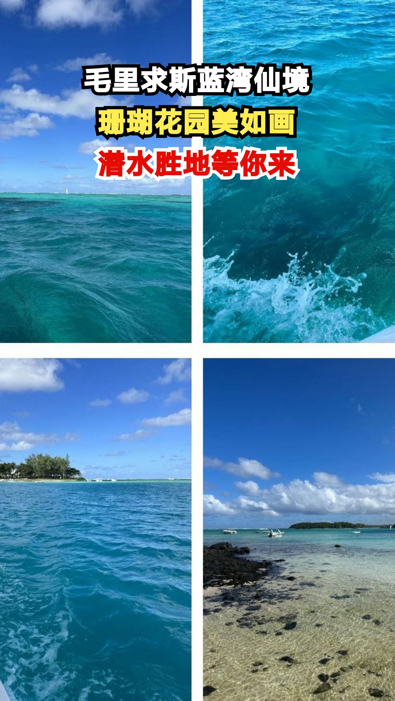 潜入毛里求斯蓝湾海底,邂逅五彩珊瑚与鱼群共舞的梦幻世界