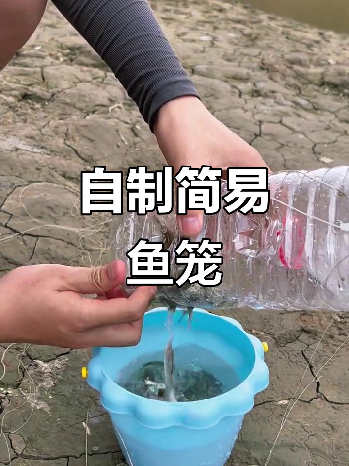 塑料瓶变鱼笼,轻松捕获鱼儿,钓鱼高手都惊叹!