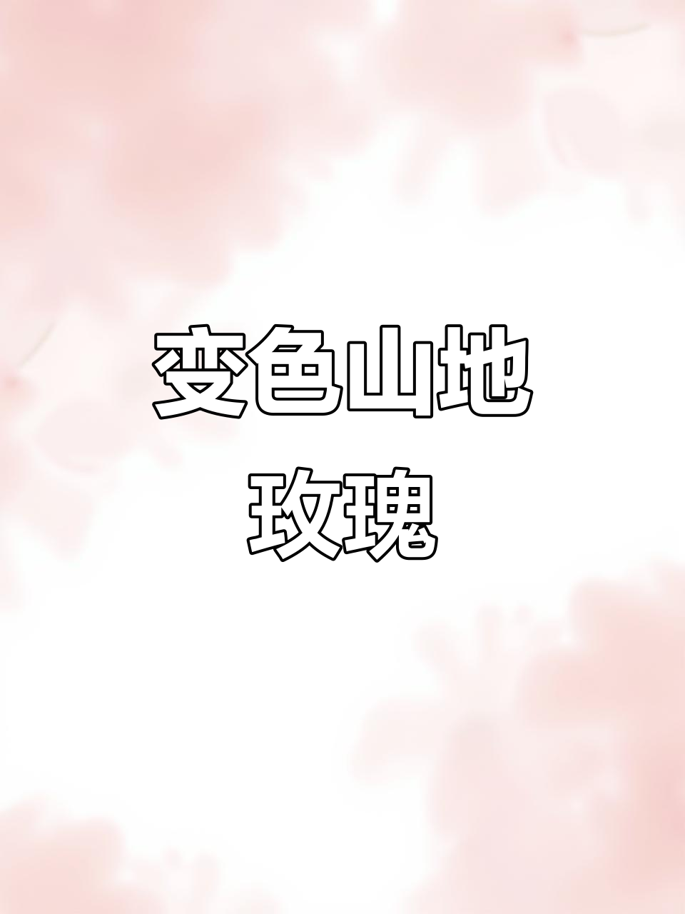 山地玫瑰变色惊艳,从绿色到粉嫩的美丽转变