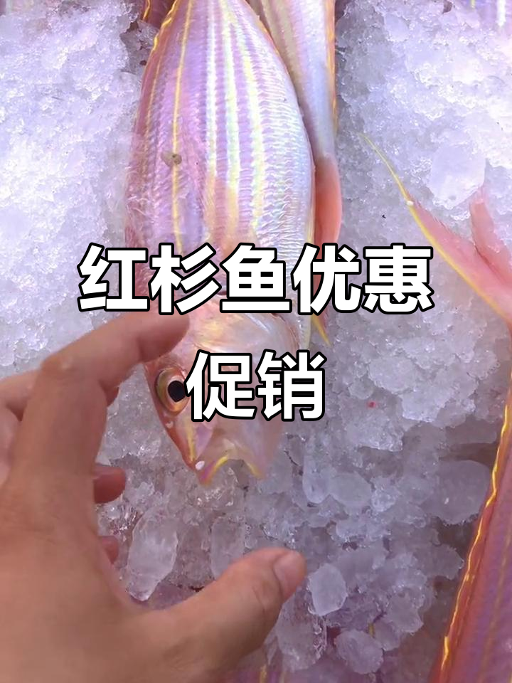 红杉鱼特惠,1斤3条仅需32元!