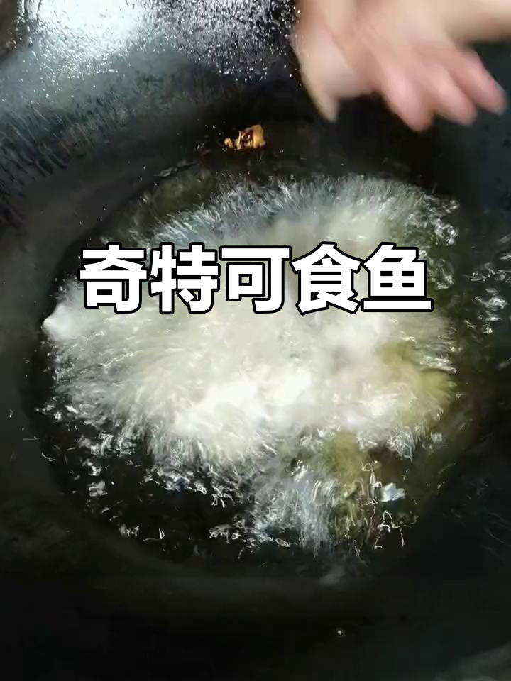 福建将军鱼，连鳞都能吃！你敢尝试吗？