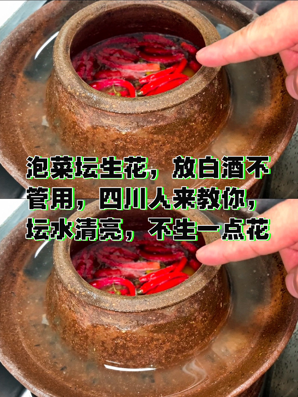 泡菜坛生花,放白酒不管用,四川人来教你