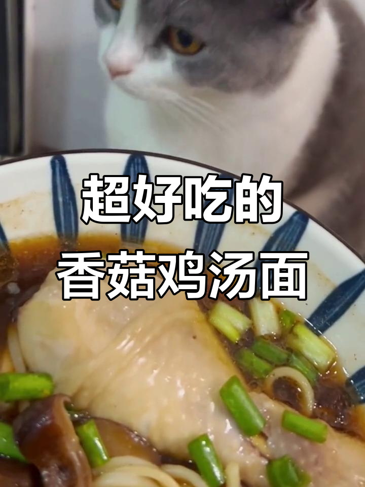 香菇鸡腿面，汤底超鲜美，喝到停不下来