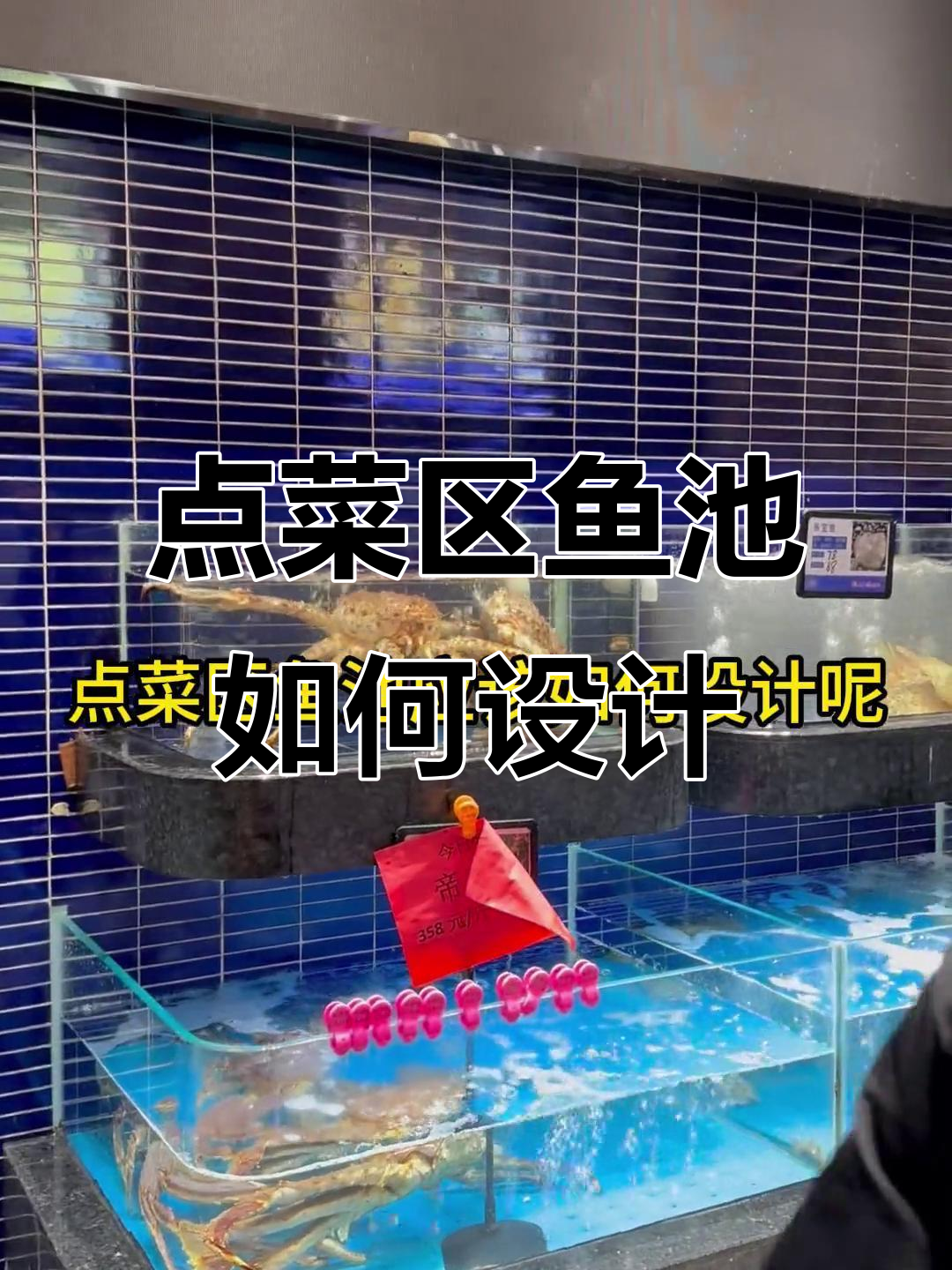 餐厅点菜区鱼池设计全攻略，打造吸引眼球的亮点