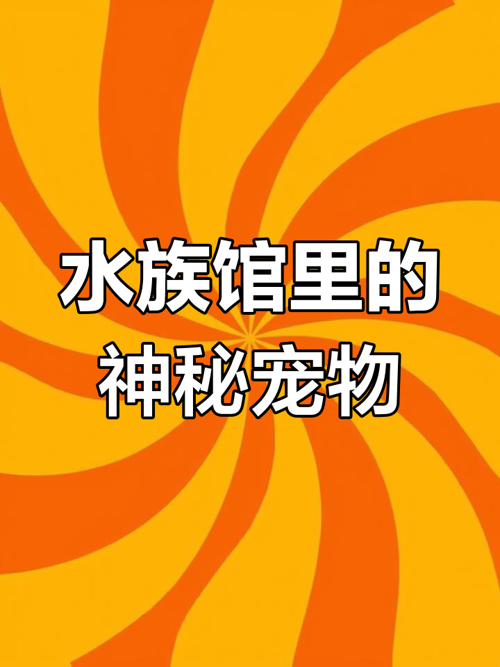 玻璃猫与拉拉鱼:透明水族精灵的饲养指南