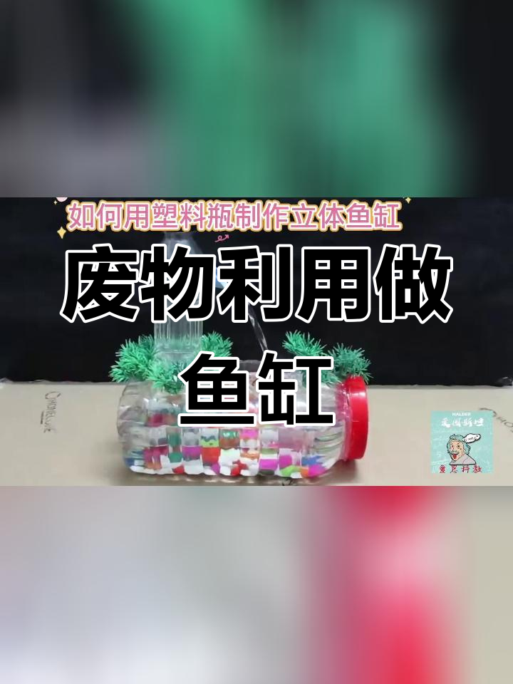 用废塑料瓶打造创意立体鱼缸