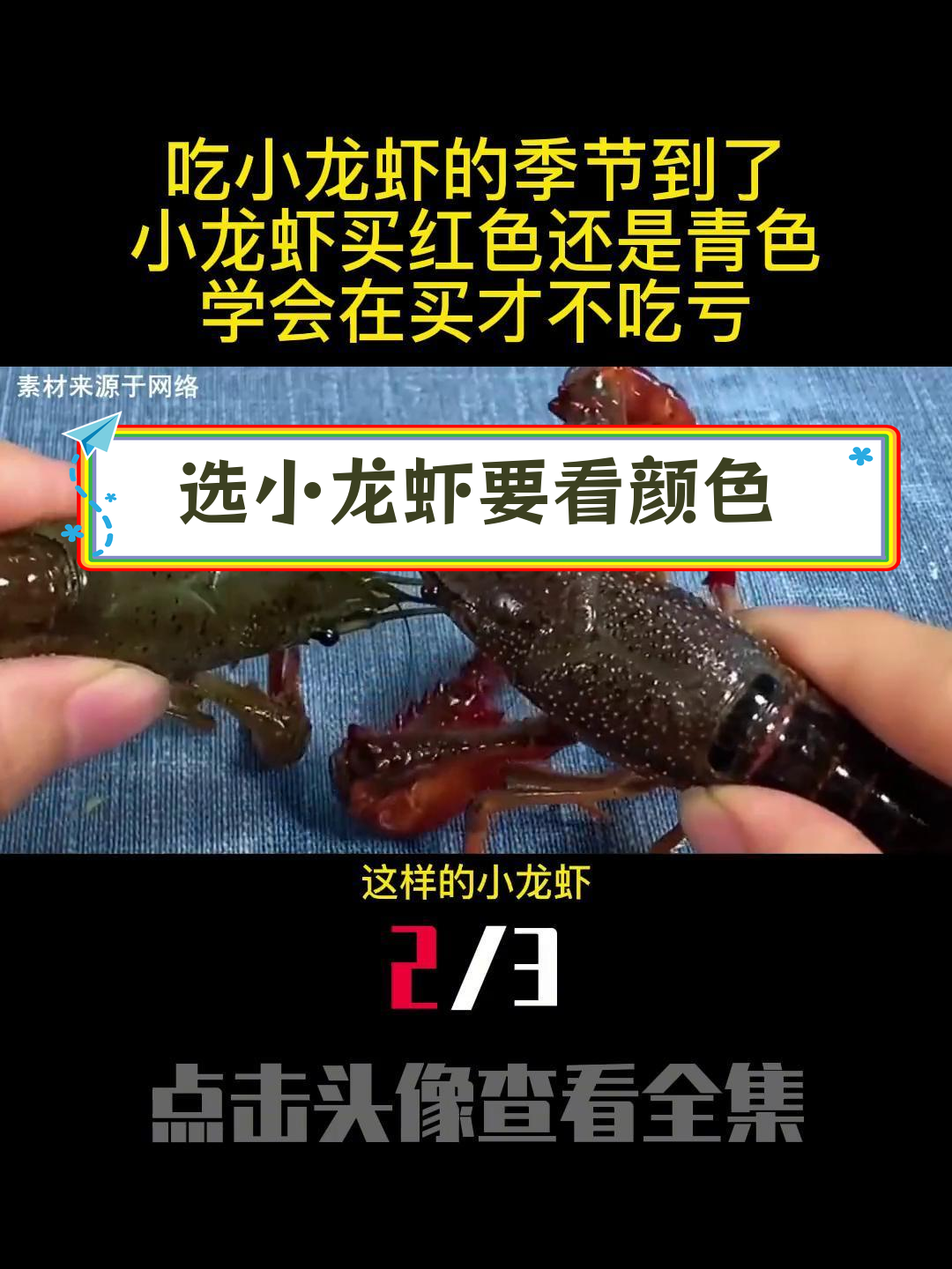 小龙虾买红还是青?教你如何挑选最划算
