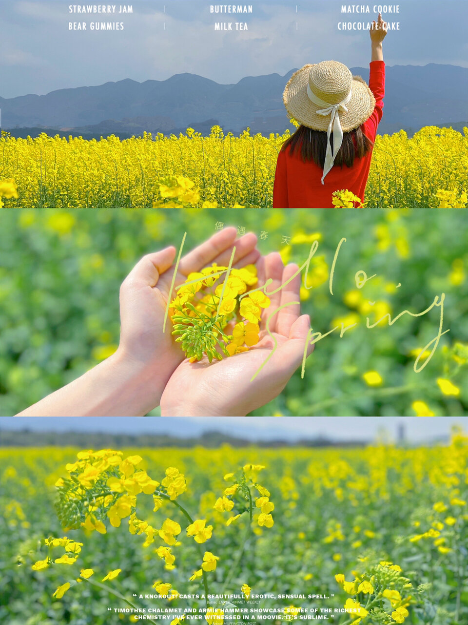 出游必学油菜花拍照技巧|这样超有氛围感