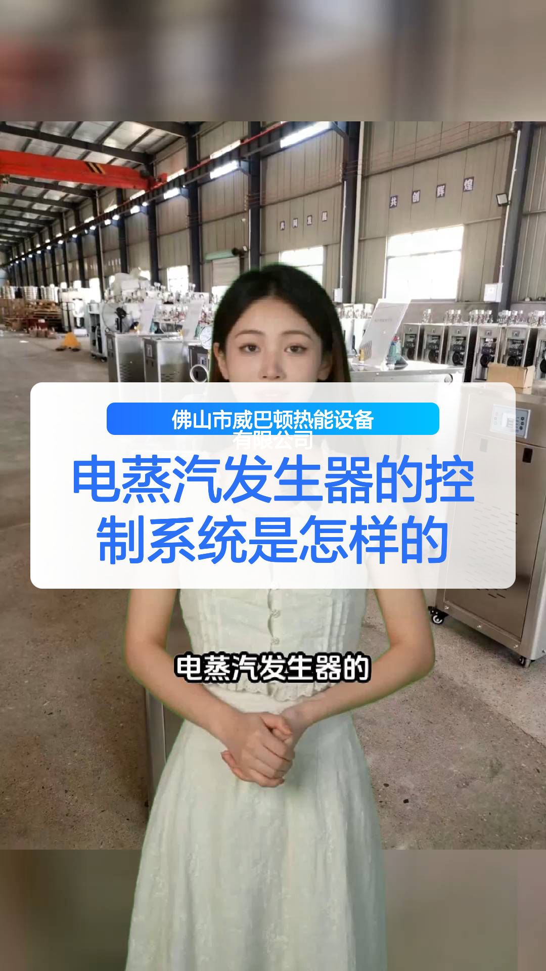 电蒸汽发生器的控制系统是怎样的