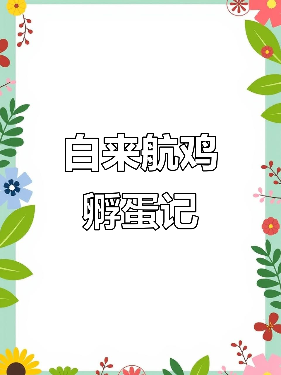 洁白羽毛的孵化点,期待小生命的到来