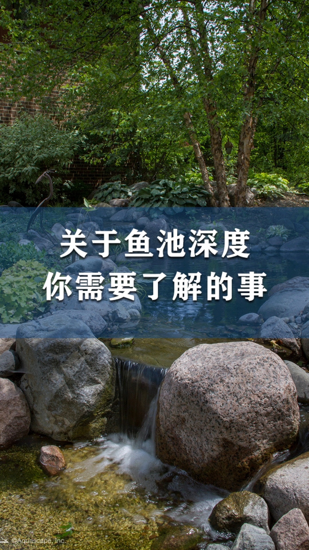 鱼池究竟应该做多深合适?