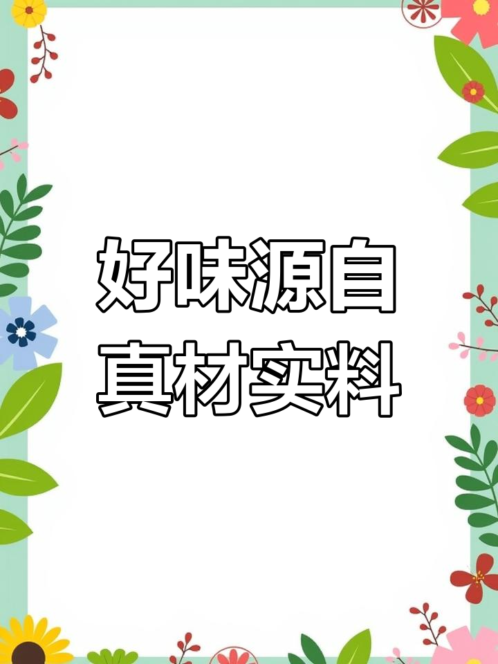 精选美味,真实食材带来好味道
