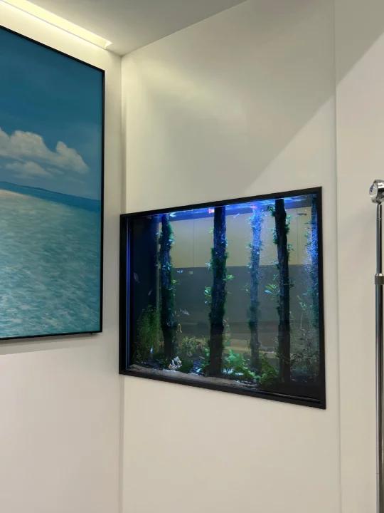 上一个视频的墙体鱼缸做法 我来讲解一下吧