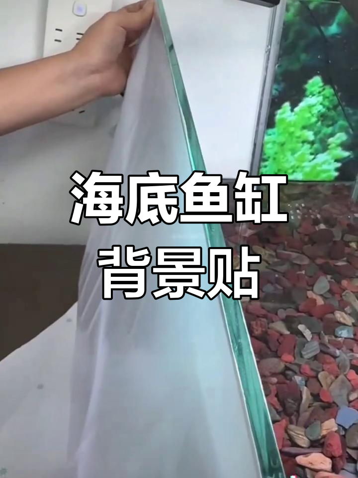 鱼缸背景贴纸,海底世界高清防水设计