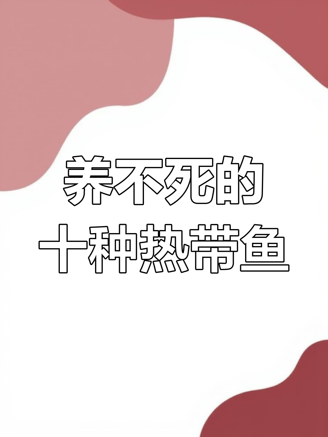 十大最耐养的热带鱼,轻松应对各种水质条件