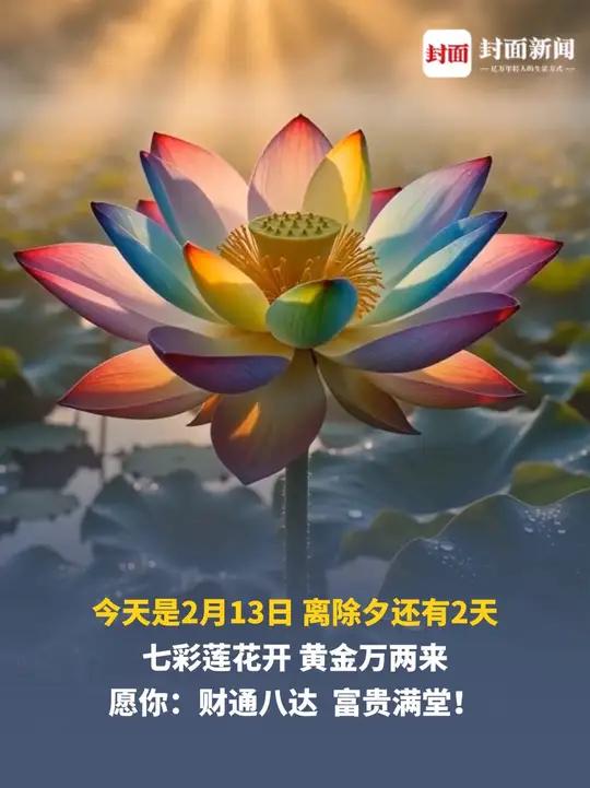 今天是2月13日，离除夕还有2天。七彩莲花开，黄金万两来，愿你：财通八达，富贵满堂！