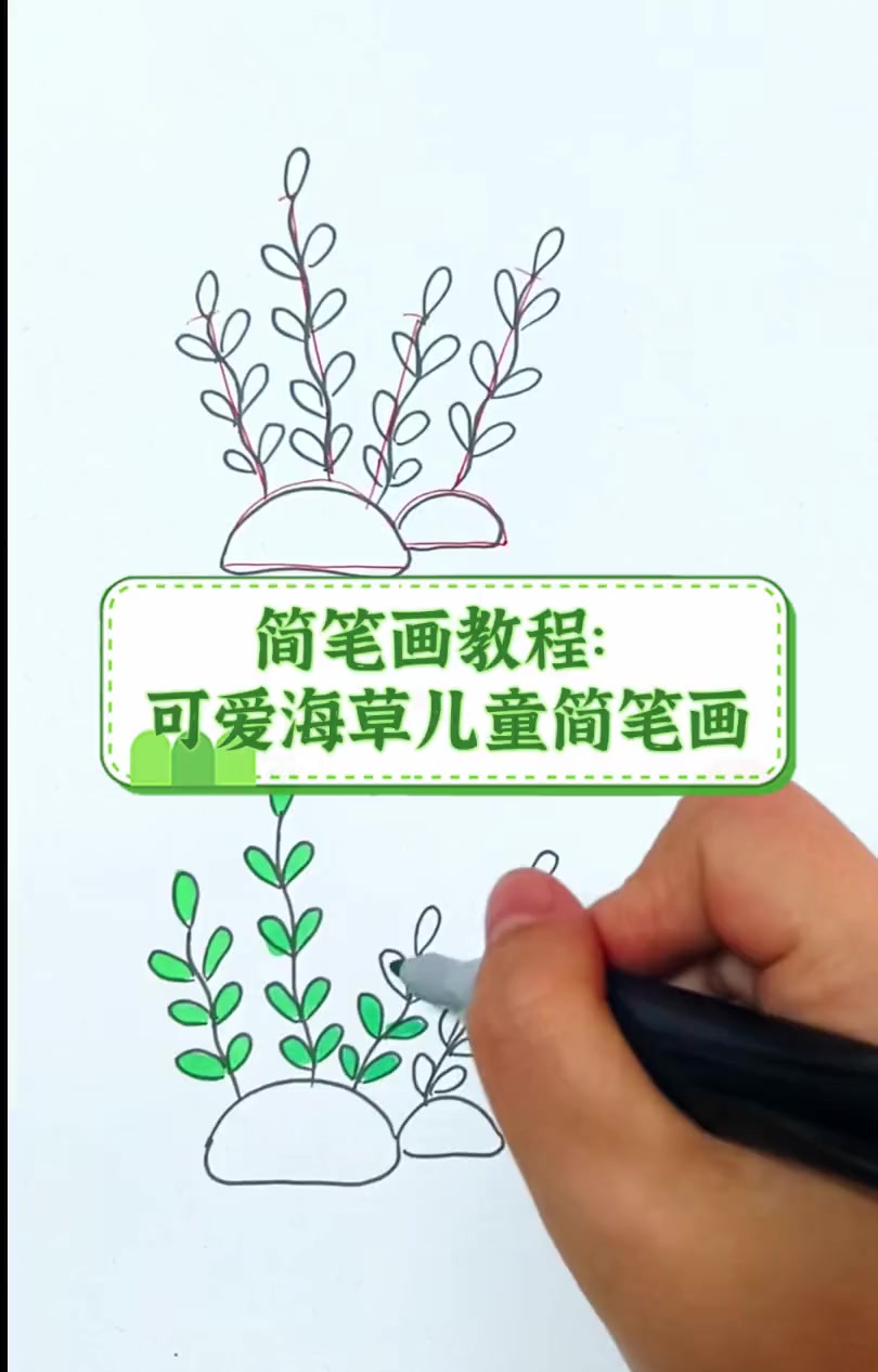 简笔画教程:可爱海草儿童简笔画